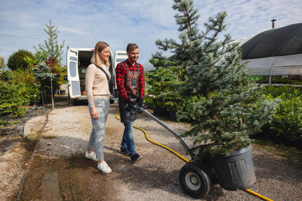 Best Stump Grinding and Removal  in Lake Erie Beach, NY